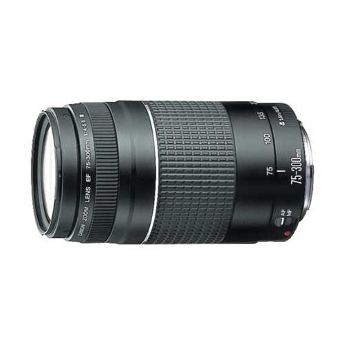 Canon EF 75-300mm f/4-5.6 III