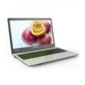 Walton Passion Wp156u3s laptop Price In BANGLADESH And INDIA