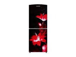 Jamuna JE-5SUS2D2-QD-RED LOTUS Direct Cool Refrigerator