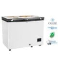 Walton WCG-2E5-GELE-CX Direct Cool Frost Refrigerator