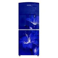 Jamuna JE-203L CD Blue Rosa Sinensis Direct Cool Refrigerator