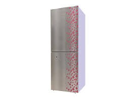 Jamuna Refrigerator JE2-F8JF-GLOSSY SHINING GRAY SILVER FLOWER Price In BANGLADESH And INDIA