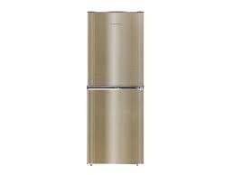 Jamuna Refrigerator JE2-F8JF GS Price In BANGLADESH And INDIA