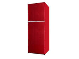 Jamuna Refrigerator JE 200L VCM Price In BANGLADESH And INDIA