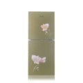 Boss Refrigerator NRB-198 DG-BG Price In BANGLADESH And INDIA