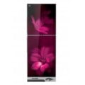 Marcel Refrigerator M32X 585 Price In BANGLADESH And INDIA