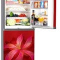 Walton Direct Cool Refrigerator WFB-1H5-RNXX-RP Price In BANGLADESH And INDIA