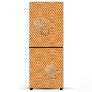 Jamuna JE-220L CD Orange Rose Refrigerator Price In Bangladesh