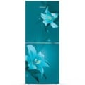 Jamuna 248 L JR-XX-LES624800 CD Blue Iris Refrigerator Price In Bangladesh