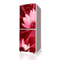 Jamuna JE-170L CD Wine Water Lily Refrigerator Price In Bangladesh