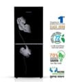 Jamuna 268L JR-LES632800 Black Lily Leaf Refrigerator Price In Bangladesh