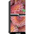 Myone MY-2F2G Refrigerator -262 Liter – Pink Dahlia Black Price In Bangladesh