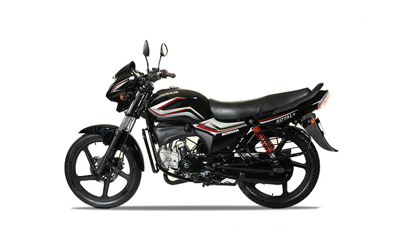 Runner Royal Plus Price in Bangladesh And INDIA
